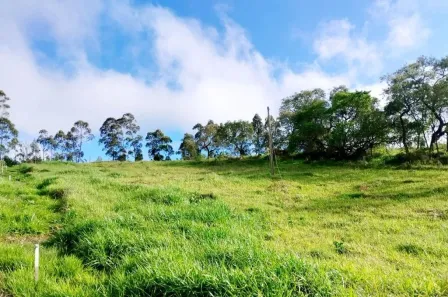 Fazenda/Sítio à venda, 22164m² no Mombuca, Itatiba