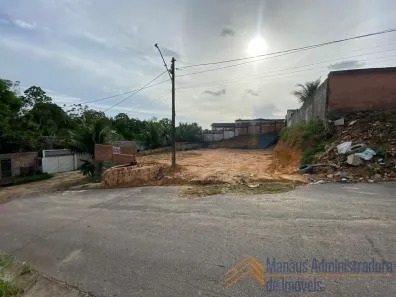 Lote/Terreno à venda, 600m² no Novo Aleixo, Manaus