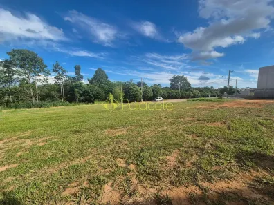 Lote/Terreno à venda, 1219m² no Alto do Cardoso, Pindamonhangaba