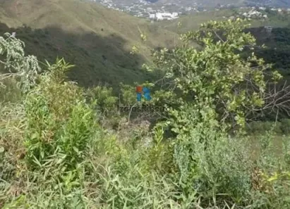 Lote/Terreno à venda, 360m² no Jardim da Torre, Nova Lima