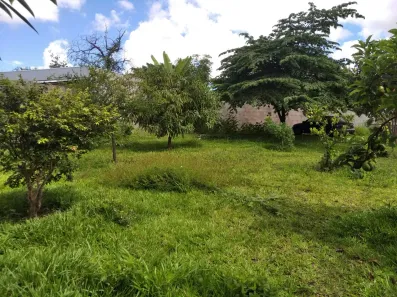 Lote/Terreno com 1 Quarto à venda, 400m² no Setor Habitacional Arniqueira, Brasília