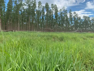 com 2 Quartos à venda, 580m² no , Salto do Céu