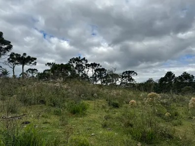 Fazenda/Sítio à venda, 20000m² no Urubici, Urubici
