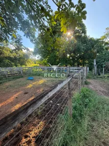 Fazenda/Sítio com 2 Quartos à venda, 7m² no Setor Central, Jaupaci