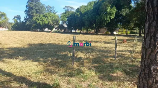 Lote/Terreno à venda, 10000m² no Parque Industrial Fritz Bersin, Nova Odessa