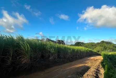 Fazenda/Sítio à venda, 205000m² no , Conde