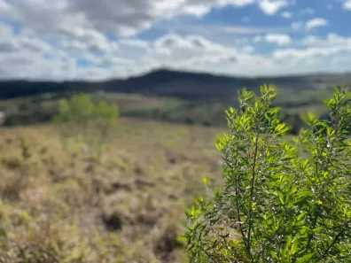 Lote/Terreno à venda, 600m² no Caetetuba, Atibaia