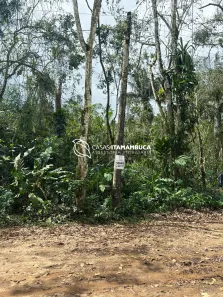 Lote/Terreno à venda, 576m² no Praia do Itamambuca, Ubatuba