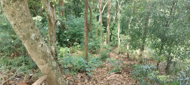 Lote/Terreno à venda, 300m² no Chácara Jaguari (Fazendinha), Santana de Parnaíba