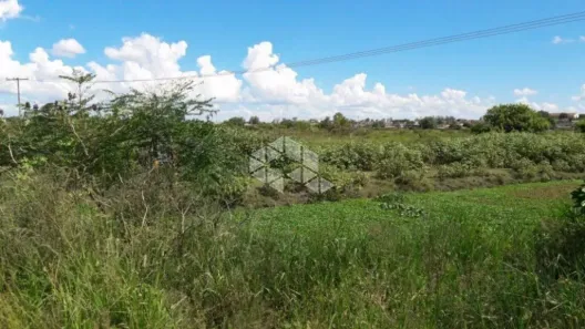 Lote/Terreno à venda, 37495m² no Fragata, Pelotas