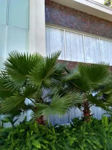 Casa de Condomínio com 3 Quartos à venda, 500m² no Arujázinho IV, Arujá