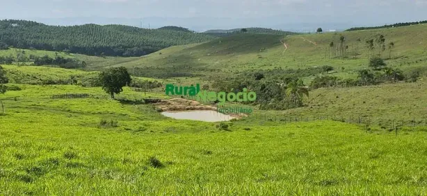 Fazenda/Sítio à venda, 20000m² no Centro, Lorena
