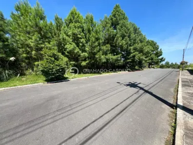 Lote/Terreno à venda, 660m² no Mato Queimado, Gramado