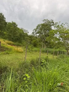 Fazenda/Sítio à venda, 10m² no Pedro do Rio, Petrópolis