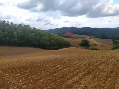 Fazenda/Sítio à venda, 48400m² no Pacotuba, Almirante Tamandaré