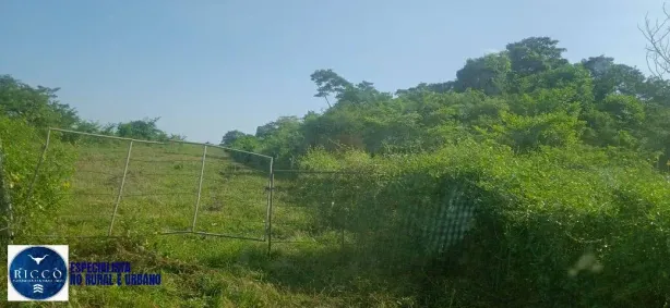 Fazenda/Sítio com 3 Quartos à venda, 100m² no Setor Central, Formoso do Araguaia