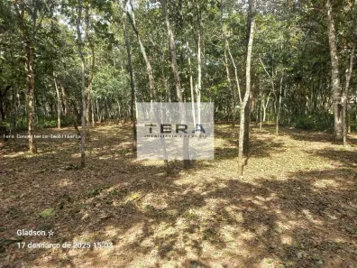 Lote/Terreno à venda, 1890m² no Condomínio Ecológico Mansões Morumbi, Senador Canedo