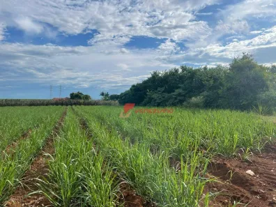 Lote/Terreno à venda, 60000m² no Areão, Piracicaba