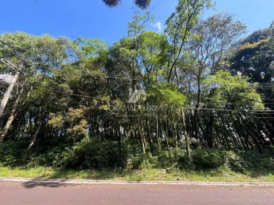 Lote/Terreno à venda, 800m² no Lagos do Bosque, Gramado