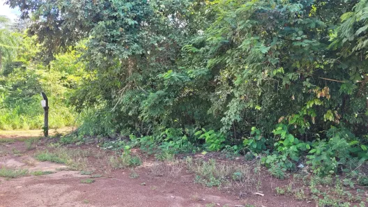 Lote/Terreno à venda, 1119m² no Luzimangues, Porto Nacional