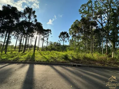 Lote/Terreno à venda, 420m² no Vila Olinda, Nova Petrópolis