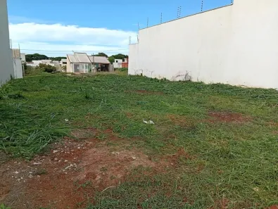 Lote/Terreno à venda, 300m² no Jardim Araucária, Maringá