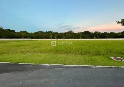 Lote/Terreno à venda, 314m² no Pedra Branca, Palhoça