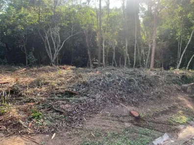 Lote/Terreno à venda, 724m² no Granja Carneiro Viana, Cotia