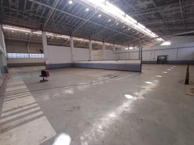 Galpão/Depósito/Armazém para alugar, 5000m² no Alphaville Industrial, Barueri