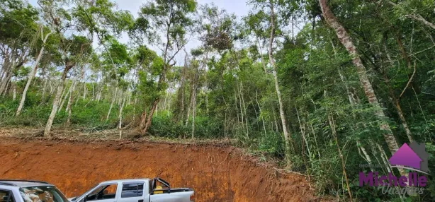Lote/Terreno à venda, 1560m² no Golfe, Teresópolis