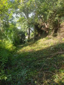 Lote/Terreno à venda, 21154m² no Ubatumirim, Ubatuba
