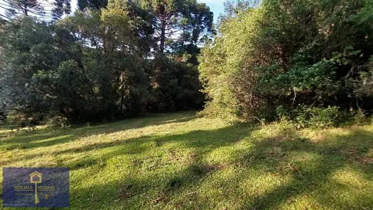 Lote/Terreno à venda, 20000m² no Santa Terezinha do Salto, Lages