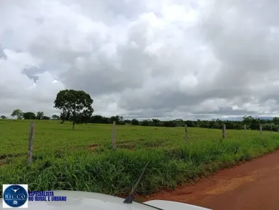 Fazenda/Sítio com 4 Quartos à venda, 1500m² no Setor Central, Araguaçu