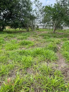 Lote/Terreno à venda, 1172m² no Ouro Fino, Santa Isabel