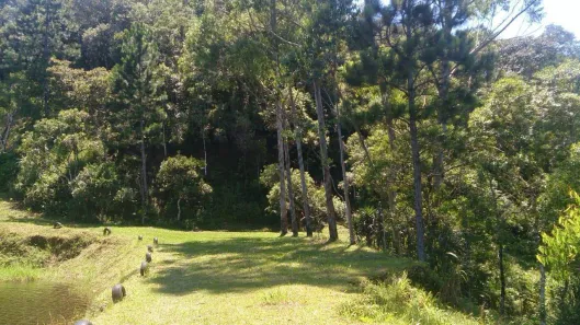 Fazenda/Sítio com 1 Quarto à venda, 20m² no , Tapiraí