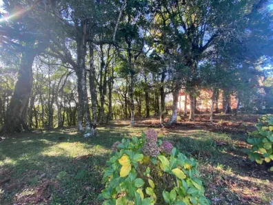 Lote/Terreno à venda, 1435m² no Tres Pinheiros, Gramado