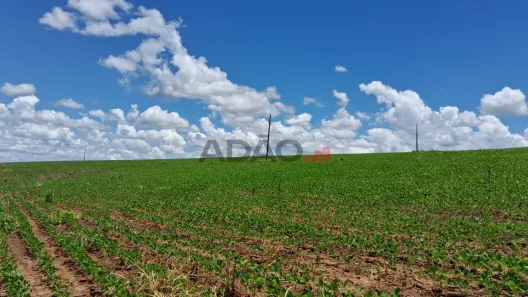 Fazenda/Sítio à venda, 338800m² no Setor Central, Silvânia