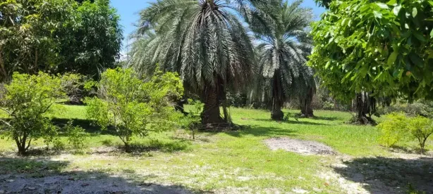 Fazenda/Sítio com 3 Quartos à venda, 150m² no São José de Ribamar, São José de Ribamar