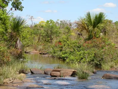 Fazenda/Sítio à venda, 513m² no Centro, Brasilândia de Minas