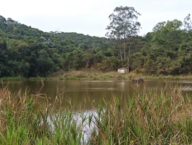 Lote/Terreno à venda, 20000m² no , Caeté