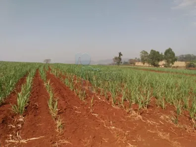 à venda, 30000m² no Zona Rural, Cajuru