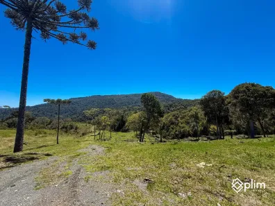 Lote/Terreno à venda, 40000m² no , Bom Retiro