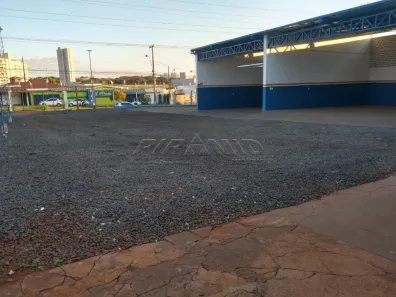 para alugar, 911m² no Jardim Palma Travassos, Ribeirão Preto