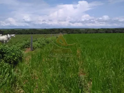 Fazenda/Sítio com 6 Quartos à venda, 95287500m² no Guaraí, Guaraí