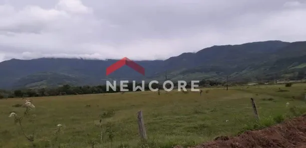 Fazenda/Sítio à venda, 3013m² no Terra de Areia, Terra de Areia
