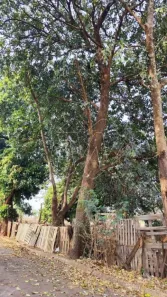 Lote/Terreno à venda, 158m² no Parque São Paulo (Vila Xavier), Araraquara