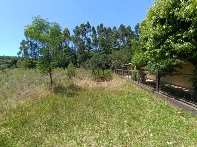 Lote/Terreno à venda, 437m² no Centro, Picada Café