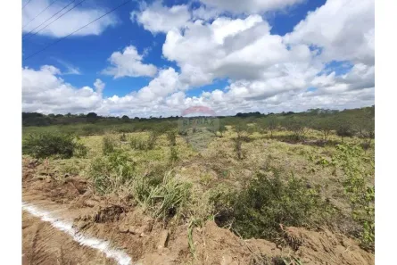 à venda, 149000m² no São Joaquim do Monte, São Joaquim do Monte