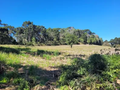 Lote/Terreno à venda, 30000m² no , Campo Alegre