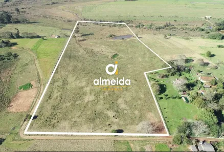 Fazenda/Sítio à venda, 67000m² no Tomazetti, Santa Maria